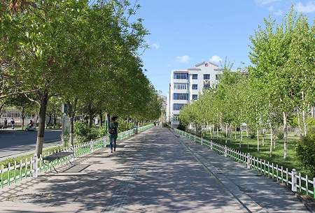 草坪護(hù)欄的作用解析 花園草坪護(hù)欄